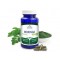 Altevita BIO Moringa 80 kapsúl