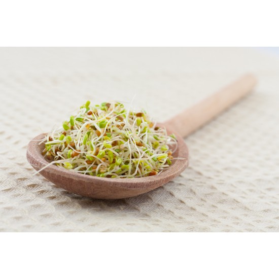 Natural Miska na klíčenie