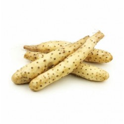 MagMaxx Jam prášok 25 g